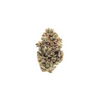  comprar seeds cannabis