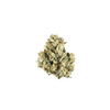 comprar seeds semente maconha cannabis Queen CBD