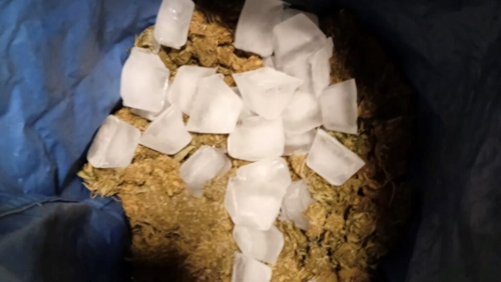 Ice o Lator